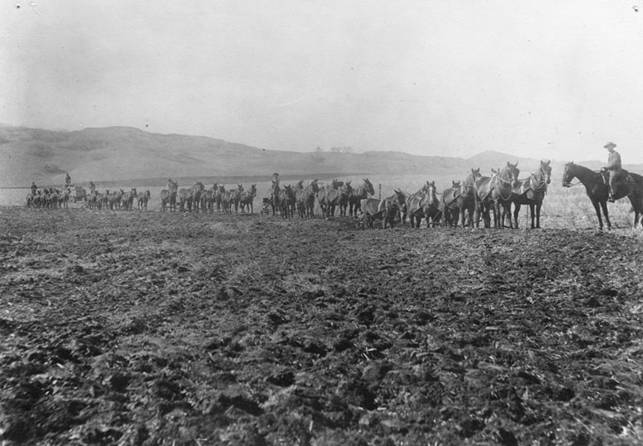 http://waterandpower.org/Historical_DWP_Photo_Collection_LA_Public_Library/Plowing_in_Valley_1880.jpg